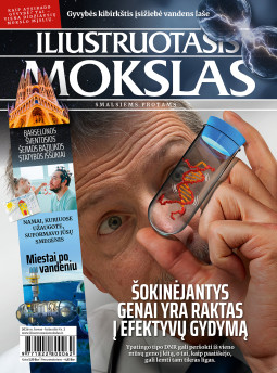 viršelis